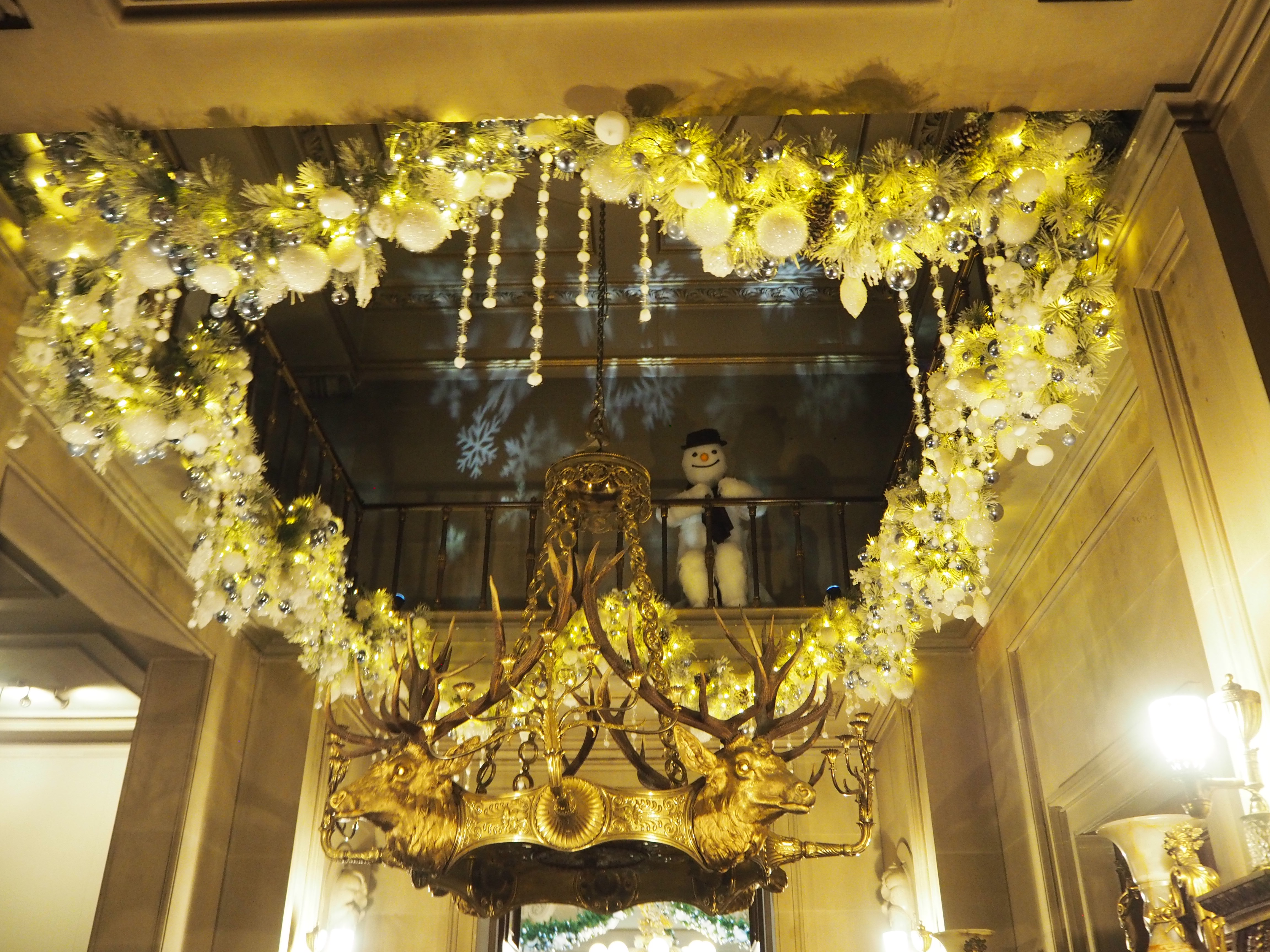 OLYMPUS DIGITAL CAMERA