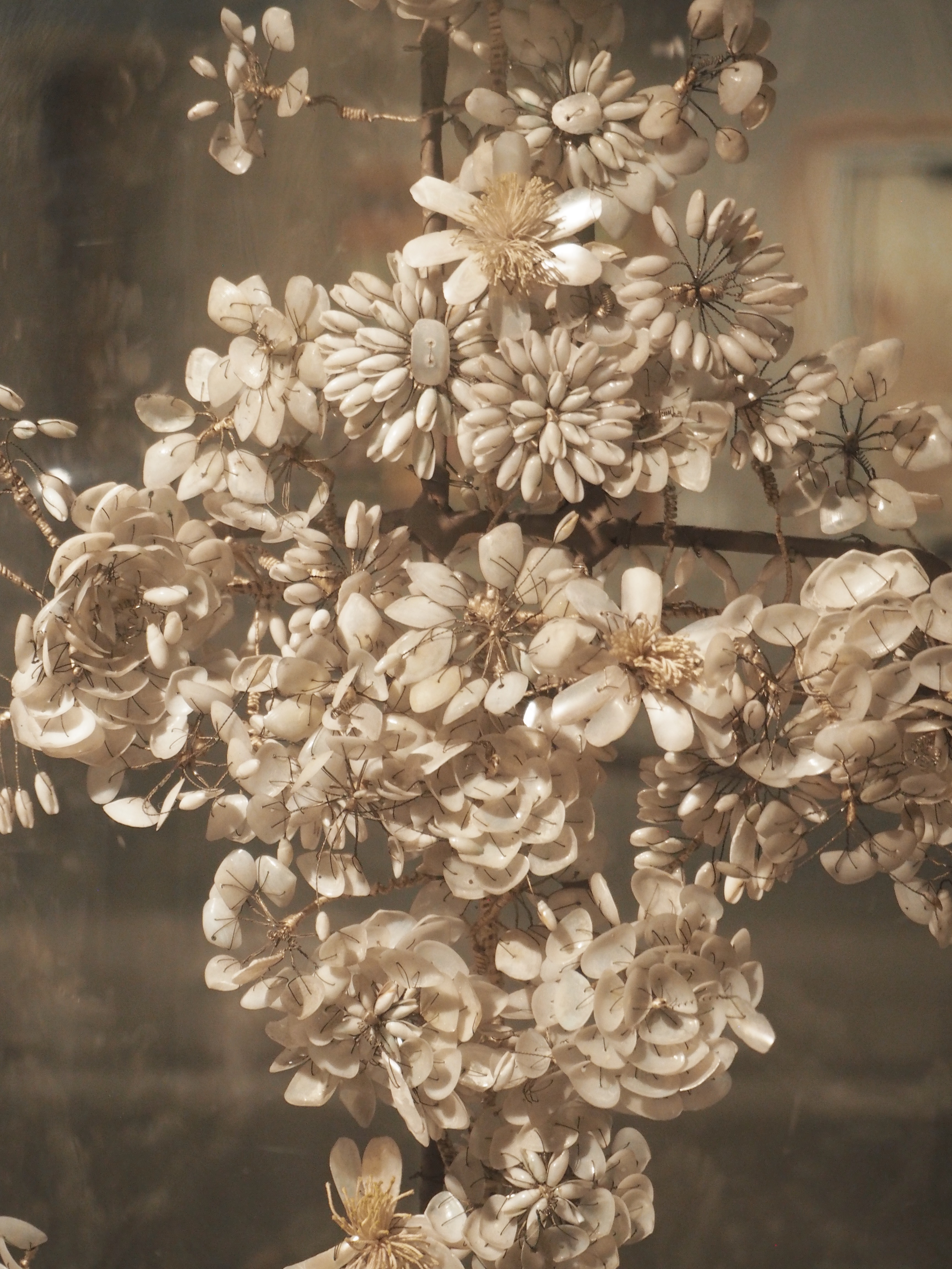 OLYMPUS DIGITAL CAMERA          Processed with VSCO with g7 preset